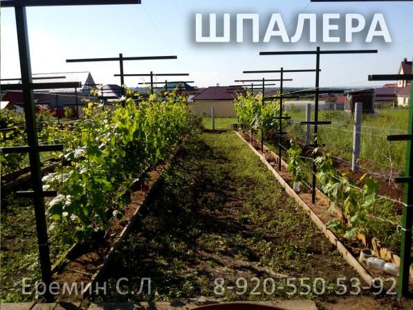 Зимняя обрезка плодовых деревьев в Белгороде фото 14
