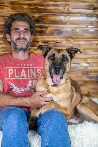 Славный богатырь Норд Батькович ищет дом в Москве фото 4