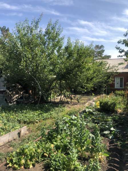 Продам дом в центре в Орске фото 5