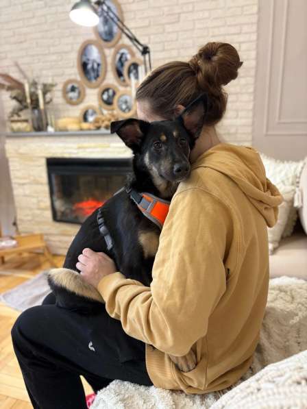 Маленькая лапочка ищет дом в Санкт-Петербурге фото 4