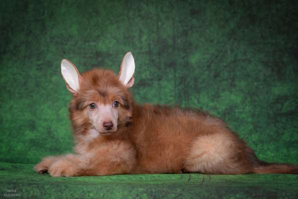 КХС в Москве фото 17