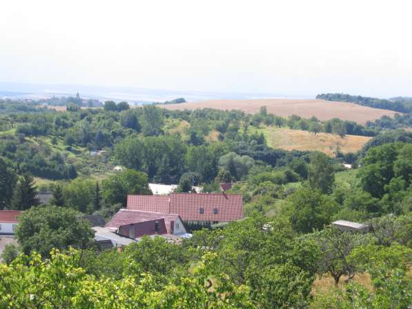 Дача в Германии с живописным видом в Москве фото 11