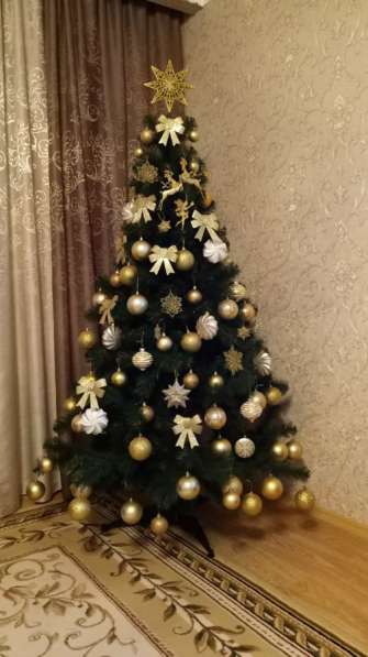 Ёлка в Череповце фото 4