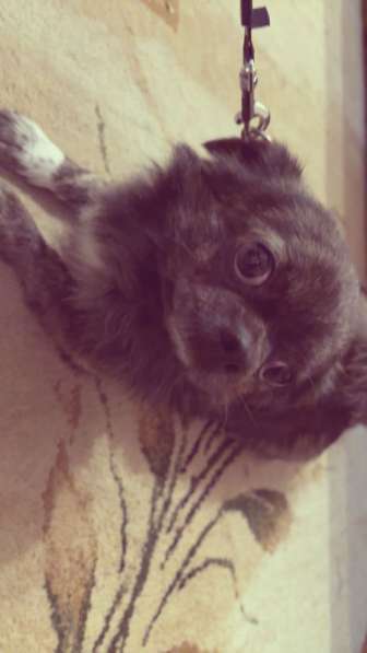 На вязку Лениногорск в Лениногорске