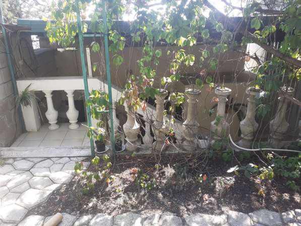 Отдельный номер с двориком в Симеизе в Ялте фото 45