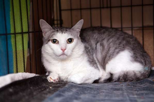 Интеллигентный Пабло ждёт встречи со своим человеком