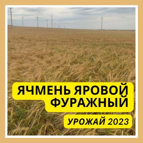 Продам ячмень зерно фуражное