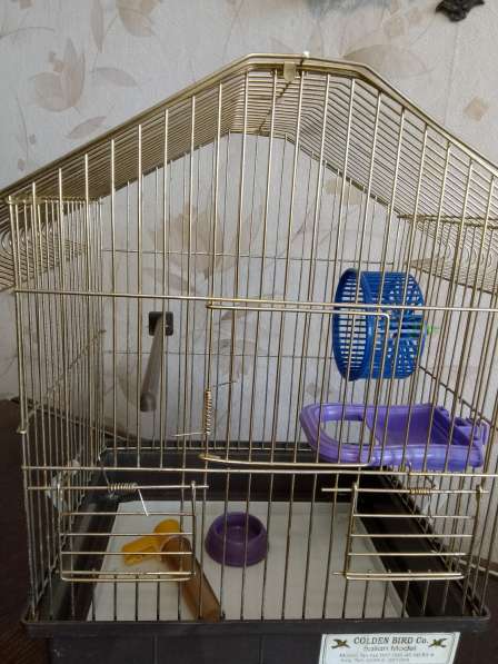 Клетка для попугаев в Смоленске