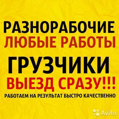 Грузчики недорого