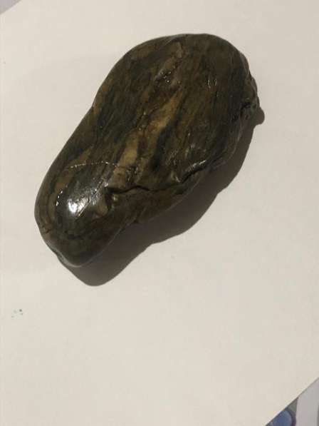 Натуральный камень, окаменелости в Гулькевичах фото 3