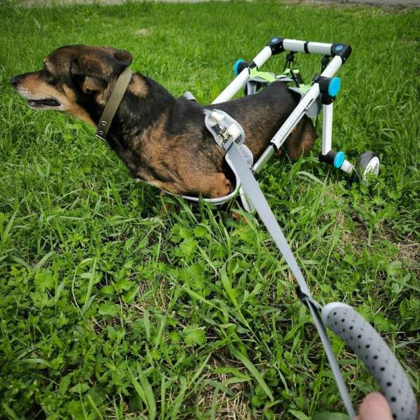 Чудесный мальчик Митя из приюта ищет семью в Санкт-Петербурге фото 7