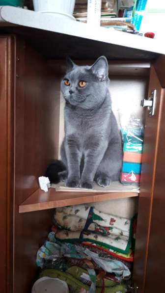 Потолок Армстронг - продажа в Чебоксарах фото 12