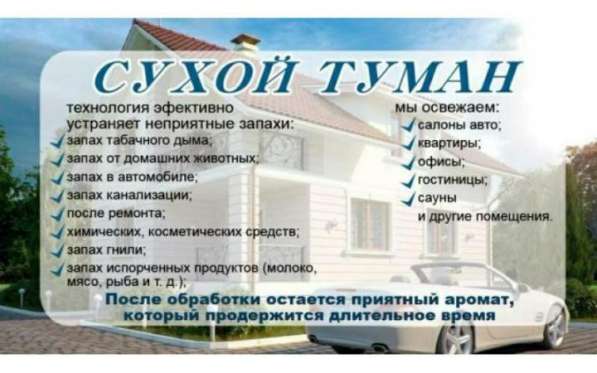 Сухой туман в Костроме в Костроме фото 8