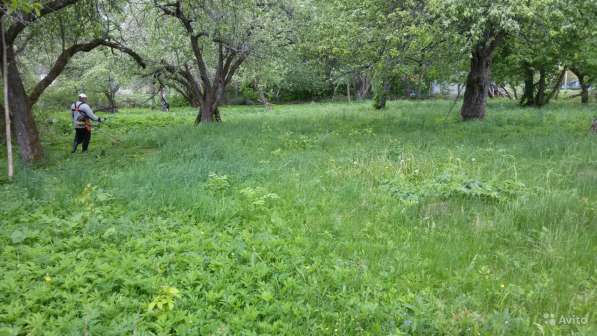 Продам участок земли 30 соток в заповедной зоне в Белгороде фото 5