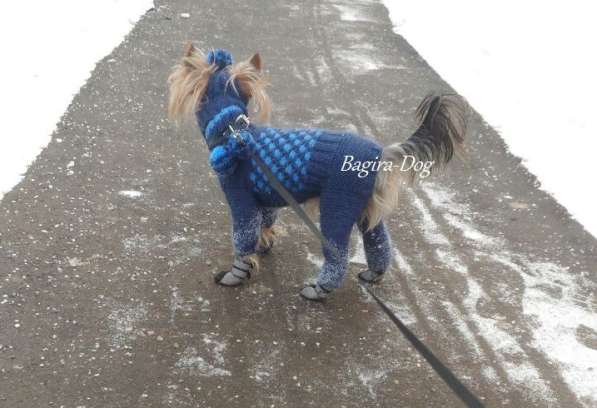 Вязаная одежда для собак в Москве фото 25