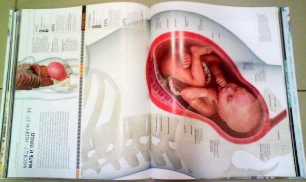 Большая книга о беременности (новая, с доставкой) в Перми фото 6