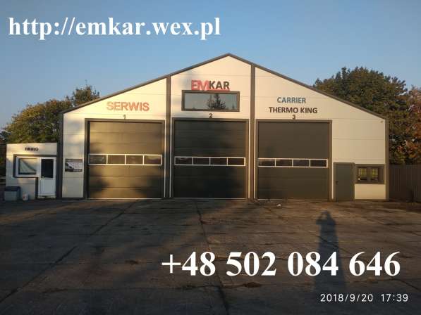 Ремонтные Cервис агрегаты Thermo King Carrier регенерация в фото 8