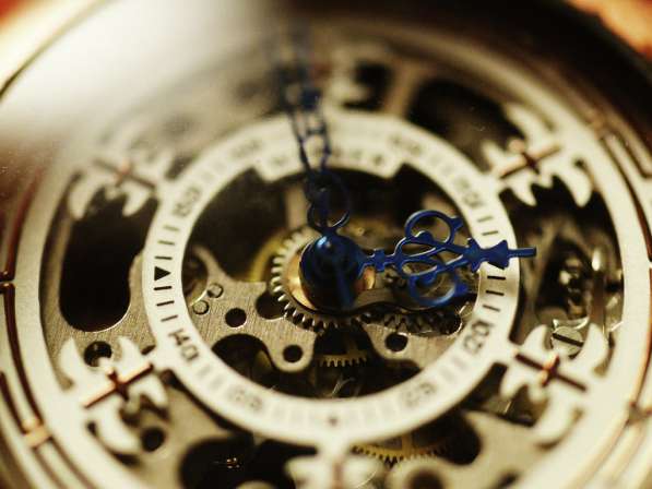 Циклевка, шлифовка старых, новых, крашенных полов, паркета в Липецке фото 15