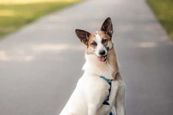 Тунис в поисках любящей семьи в Москве фото 13