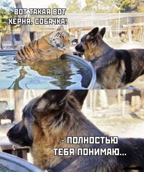 Роман, 34 года, хочет пообщаться в Красноярске