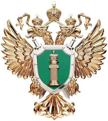 Юрист по судам из-за ОСАГО