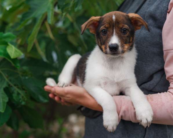 Саломея в Москве фото 7