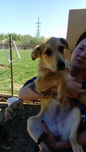 Великолепная Четверка в дар в Москве фото 21