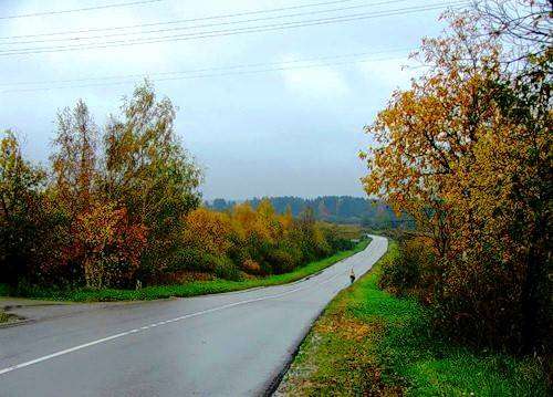 Участок в Ногинске фото 5