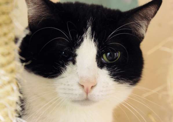 Вдумчивая Луиса мечтает встретить родную душу в Москве