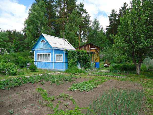 Сад с жилым домом в р-не Южной подстанции в Екатеринбурге фото 6