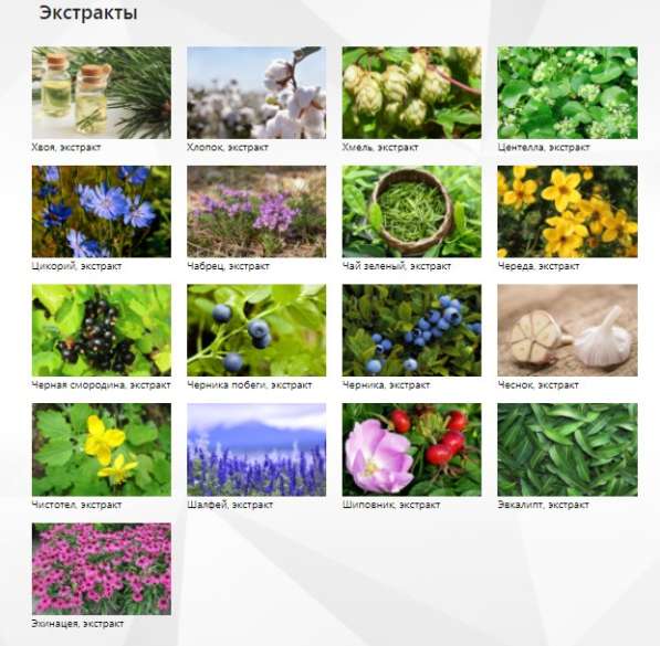 Растительные экстракты, красители, масла, Фитодистилляты в Великом Новгороде фото 4
