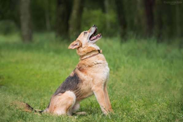 Харизматичный Марк ищет дом в Москве фото 17