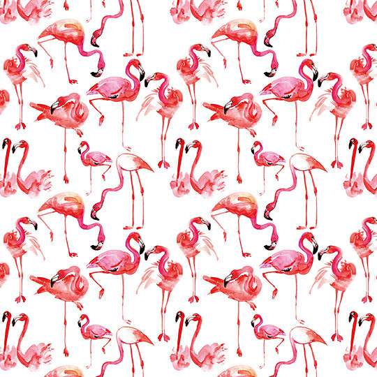 Бумага упаковочная Flamingo