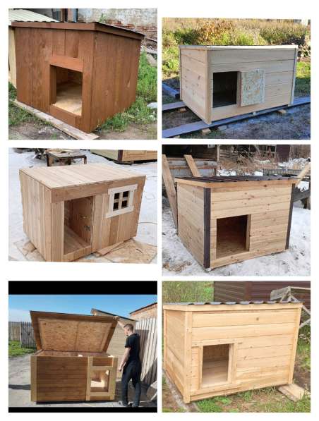 Собачья будка