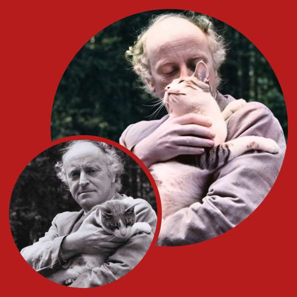 Оживить и реставрировать фото с помощью им