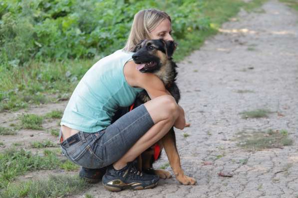 Щенок-подросток Вилли в добрые руки в Москве