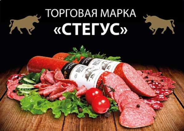 ТМ СТЕГУС в Москве фото 4
