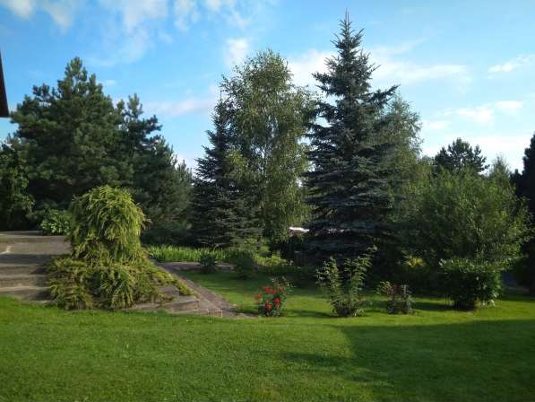 Агроусадьба под Минском на ЧМ в фото 15