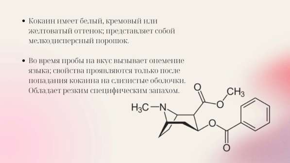 Презентации на заказ