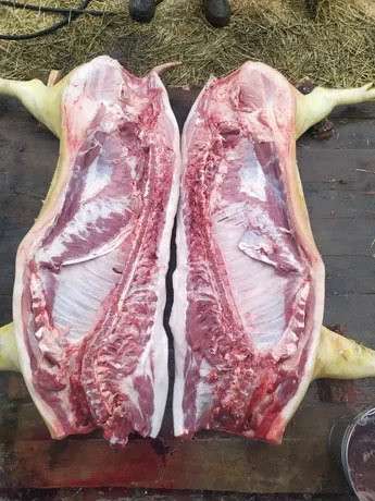 Мясо свинина в Набережных Челнах фото 4