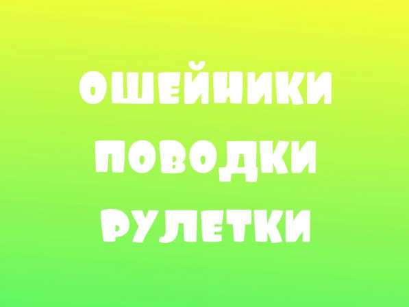 Магазин зоотоваров