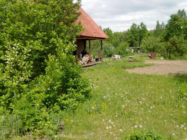 Дача в 40км по Режевскому тракту в Березовский фото 4