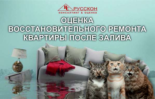 Оценка ущерба после залива. Юридическое сопровождение в Балашихе
