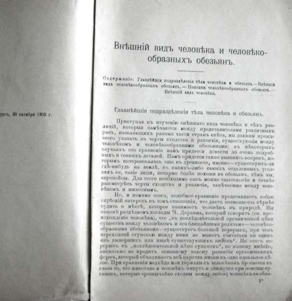 Раритет. Ранке Физические различия человеческих рас 1902 год в Москве фото 11
