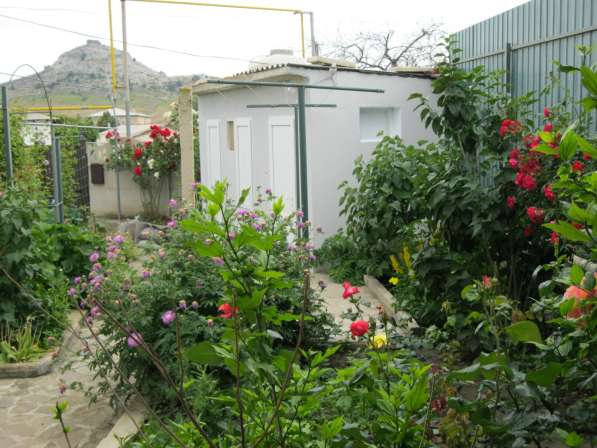 ОТДЫХ в СУДАКЕ в Судаке фото 14