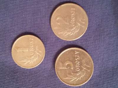 Монеты Польши Польша в Москве