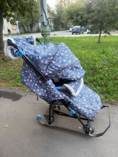 Санки в Омске