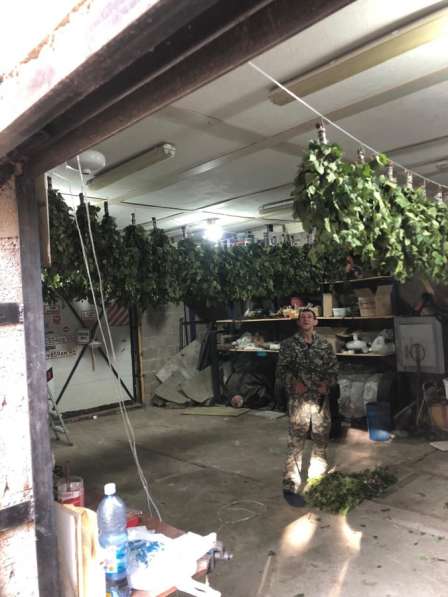 Продам веник банный берёзовый