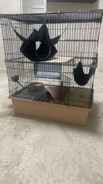 Клетка для грызунов в Минеральных Водах фото 3