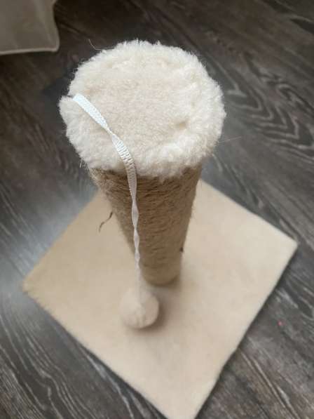 Когтеточка